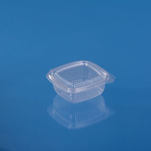 PP HINGED LID CONTAINER 250ML