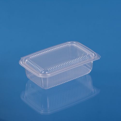 PP HINGED LID CONTAINER 750ML