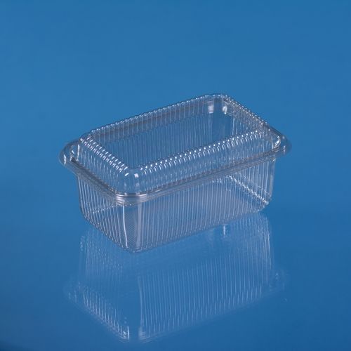 PET HINGED LID CONTAINER 1000 ML DOME LID