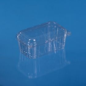 PET HINGED LID FRUIT CONTAINER 500 ML