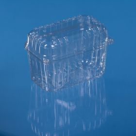 PET HINGED LID FRUIT CONTAINER 1000 ML MYP 004 